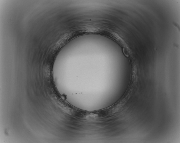 X0000099400257200805221902