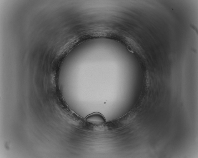 X0000099400258200805221902