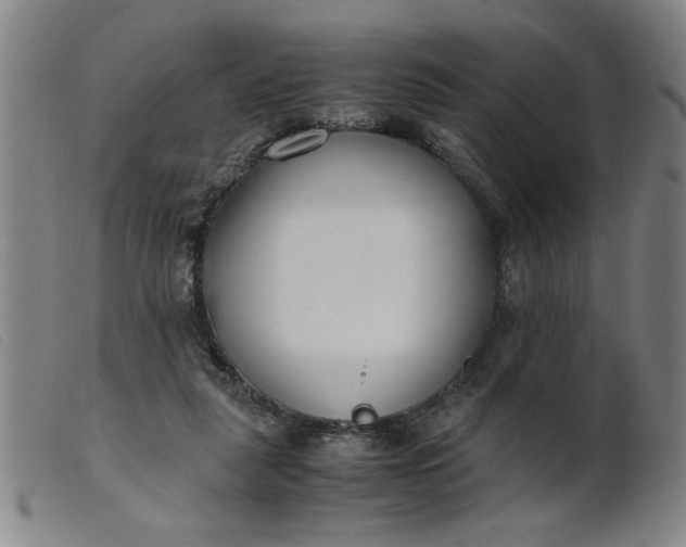 X0000099400259200805221902