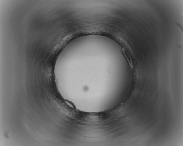 X0000099400260200805221902