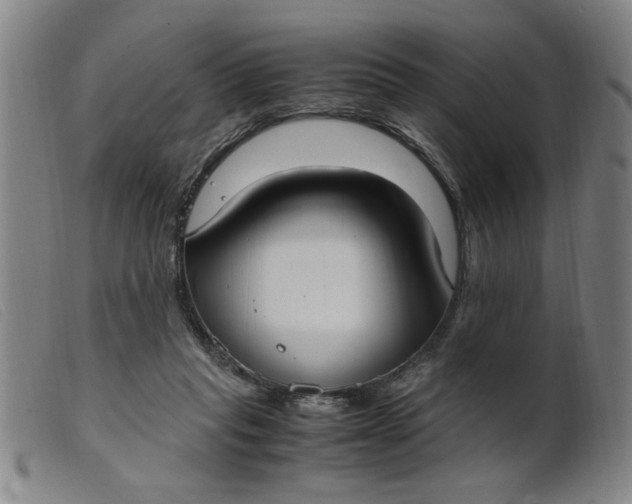 X0000099400261200805221902