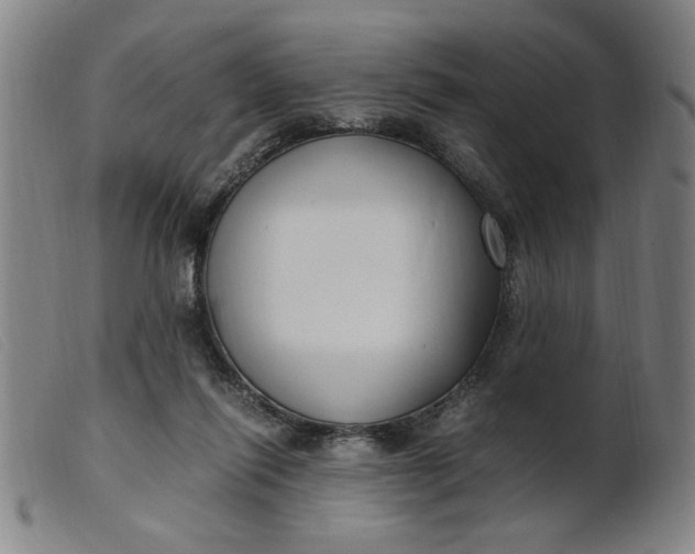 X0000099400262200805221903