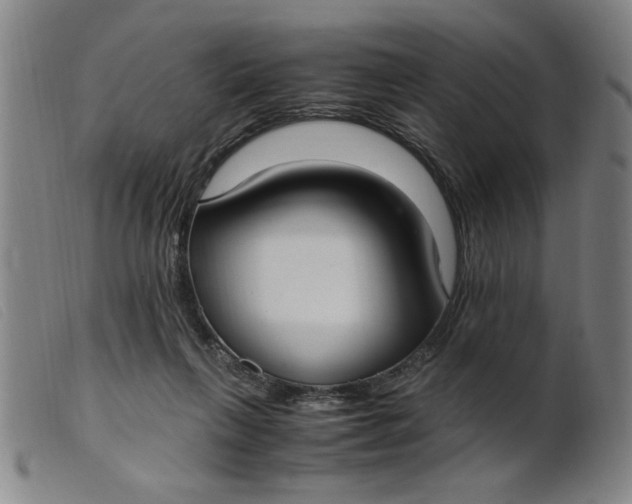 X0000099400263200805221903