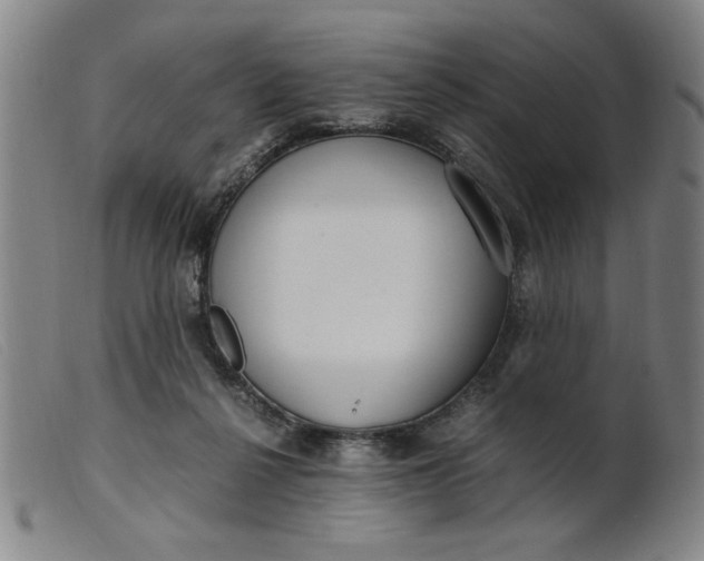 X0000099400264200805221903