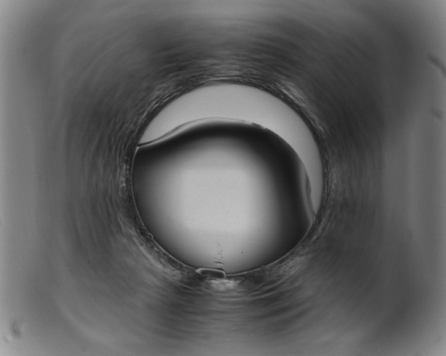 X0000099400265200805221903