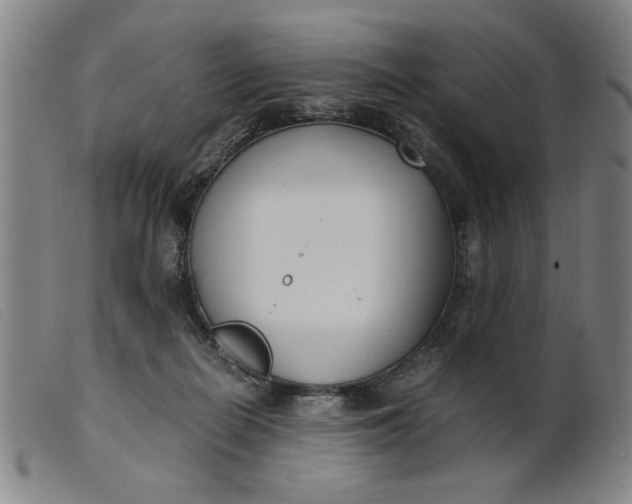 X0000099400266200805221903