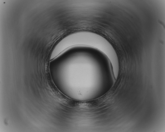 X0000099400268200805221903