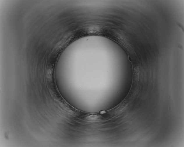 X0000099400269200805221903