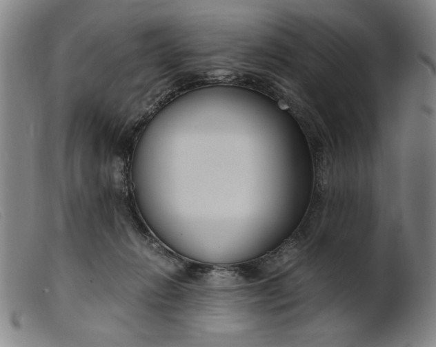 X0000099400270200805221903