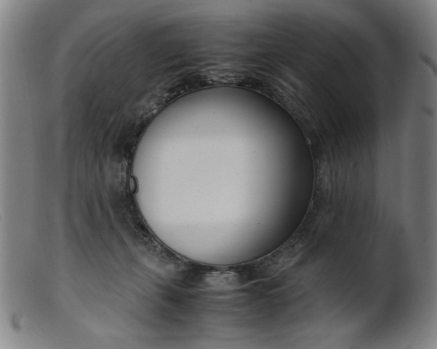 X0000099400271200805221903