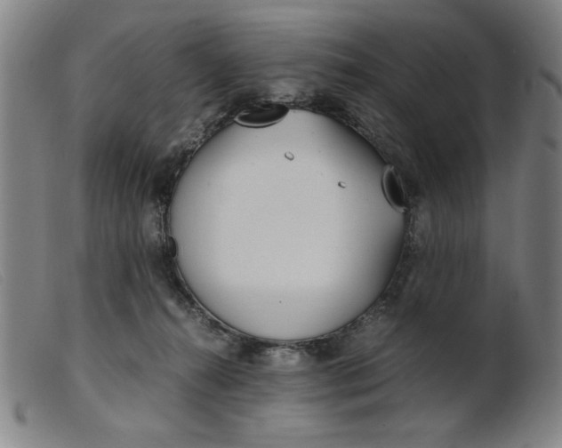 X0000099400272200805221903