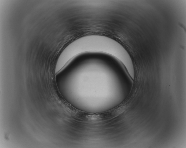 X0000099400273200805221903