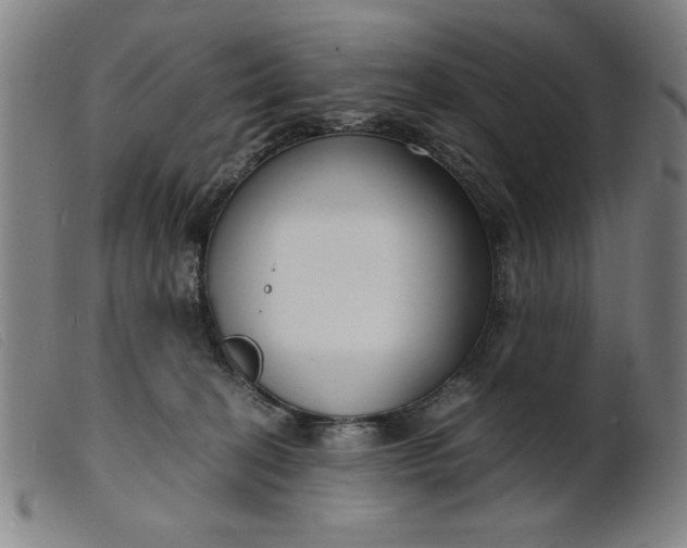 X0000099400274200805221903