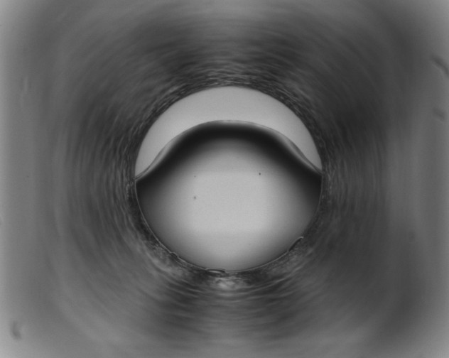 X0000099400275200805221903