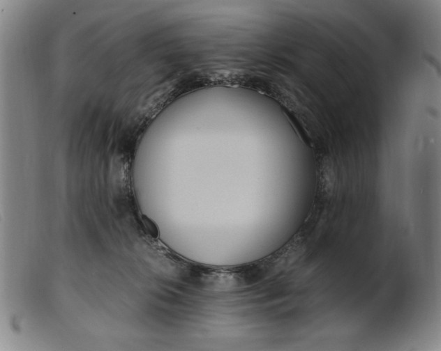 X0000099400276200805221903