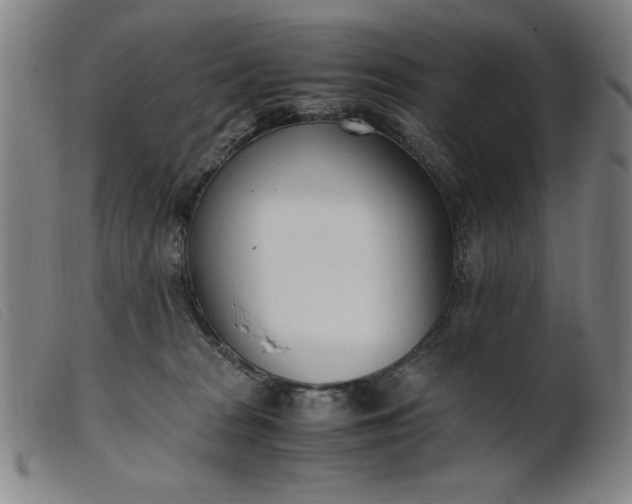 X0000099400277200805221903