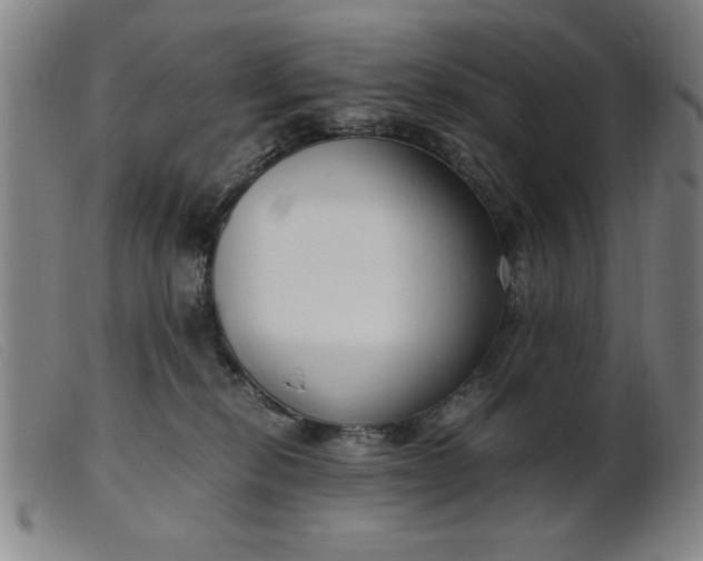 X0000099400278200805221903