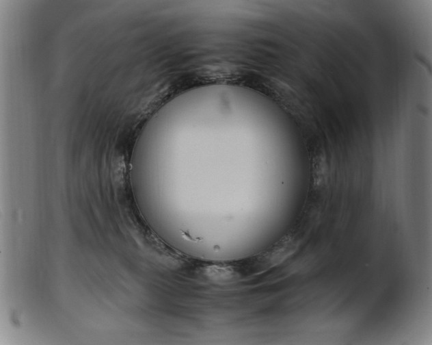 X0000099400279200805221903