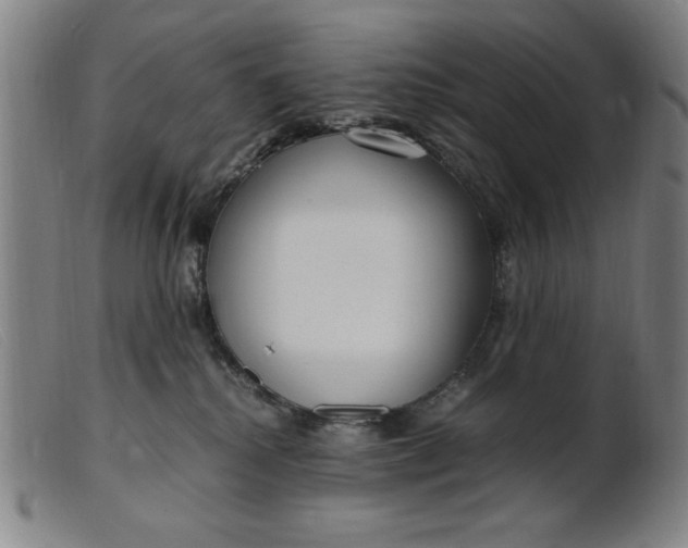 X0000099400280200805221903