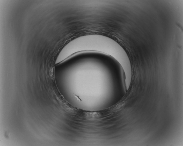 X0000099400281200805221903