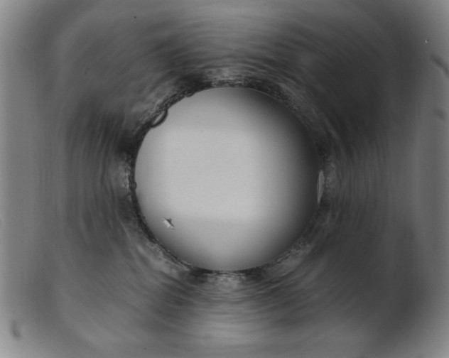 X0000099400282200805221903