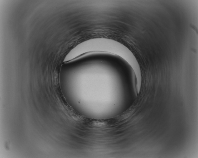 X0000099400283200805221903