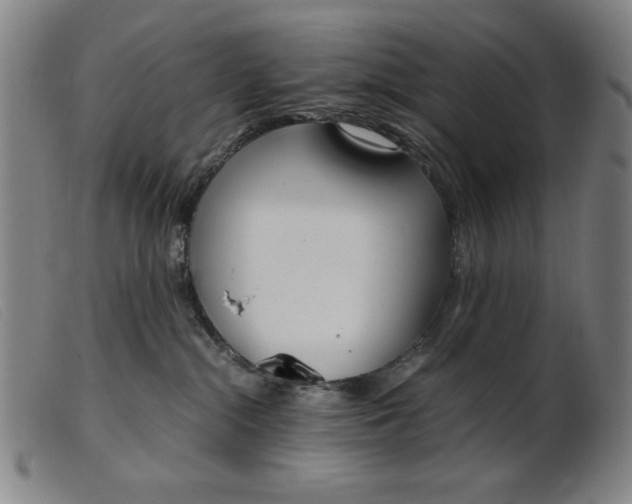 X0000099400284200805221903