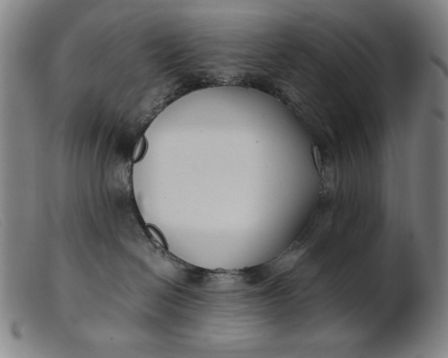 X0000099400286200805221903