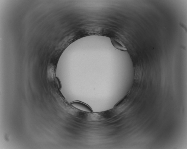 X0000099400287200805221903