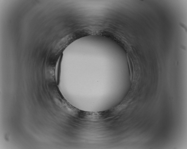 X0000099400288200805221903