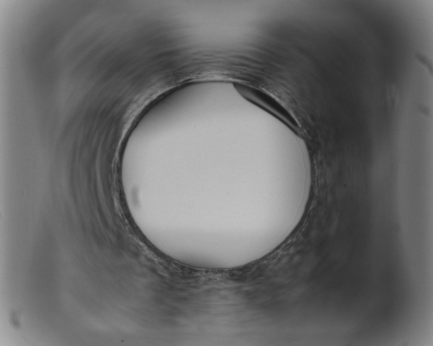 X0000099400289200805221902