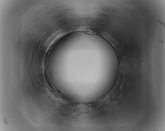 X0000099400290200805221902