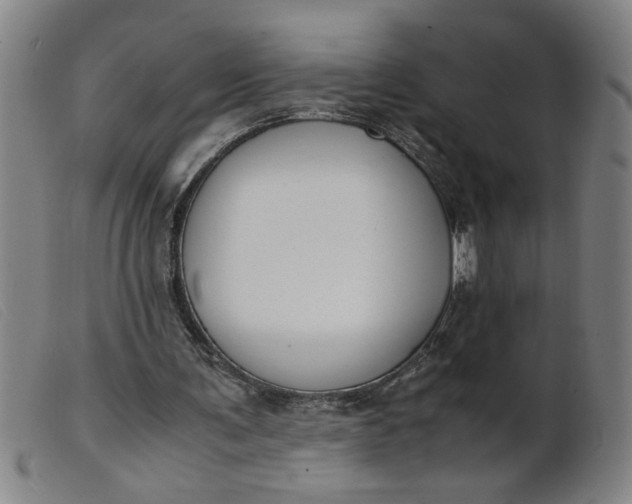 X0000099400291200805221902