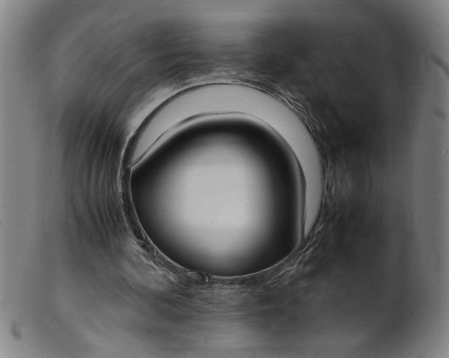 X0000099400292200805221902