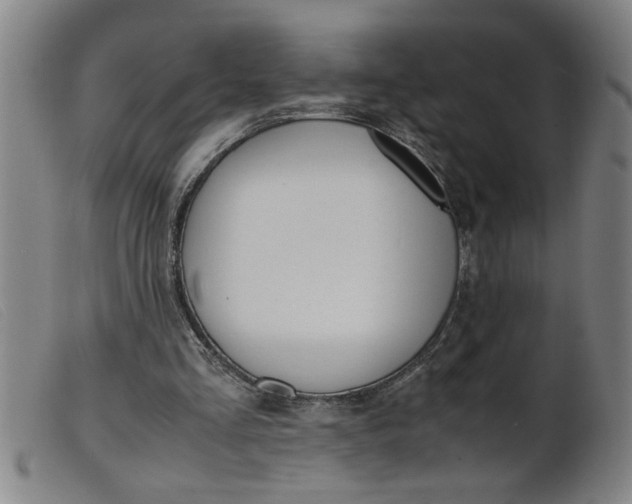 X0000099400293200805221902