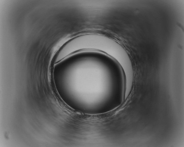 X0000099400294200805221902