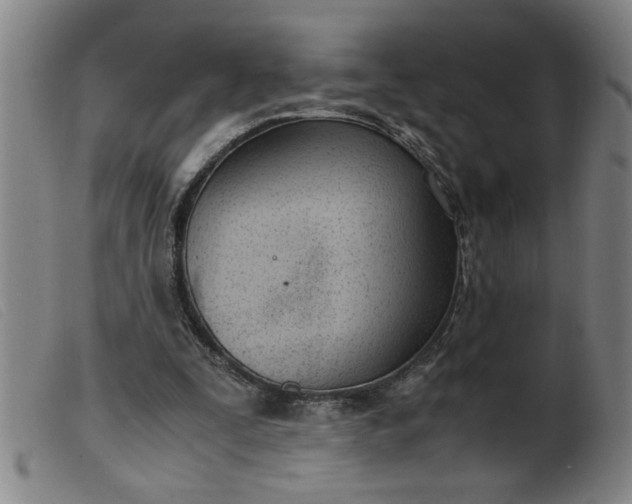 X0000099400295200805221902