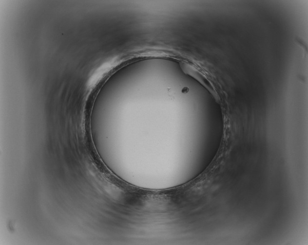 X0000099400296200805221902