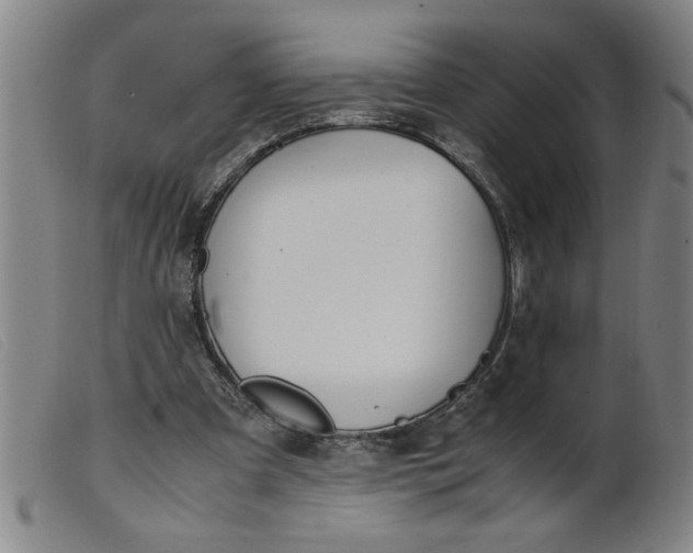 X0000099400297200805221902