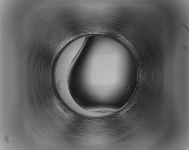 X0000099400298200805221902