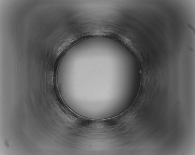 X0000099400299200805221902