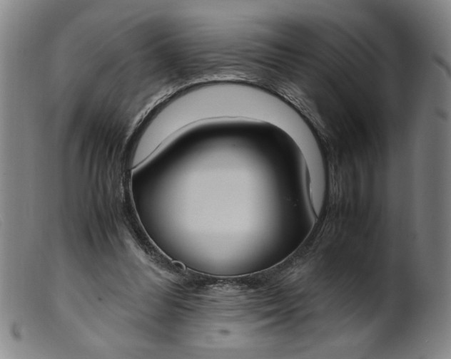 X0000099400300200805221902