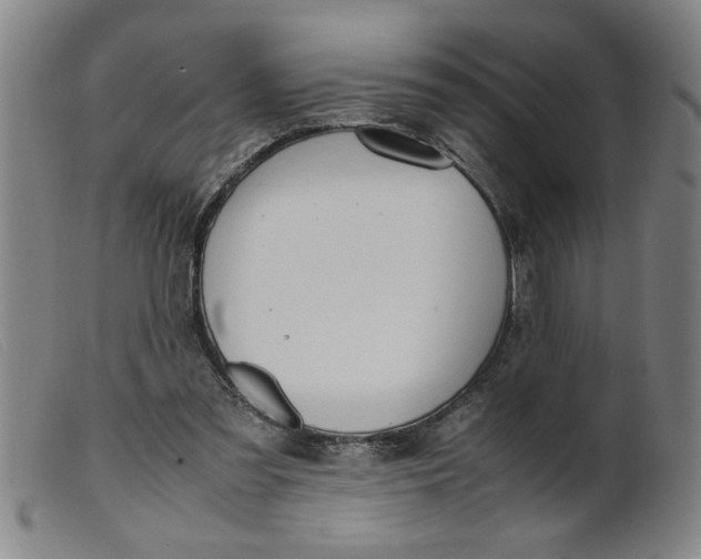 X0000099400301200805221902