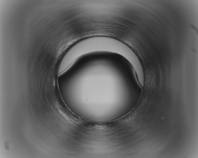 X0000099400302200805221902