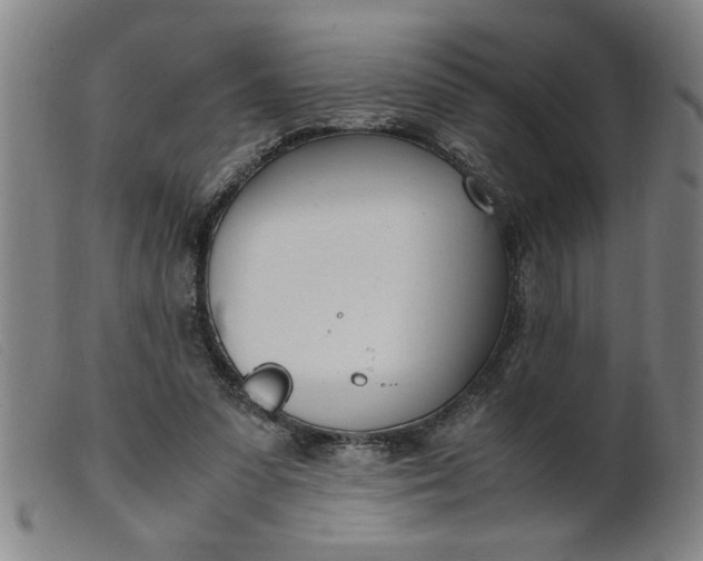 X0000099400303200805221902