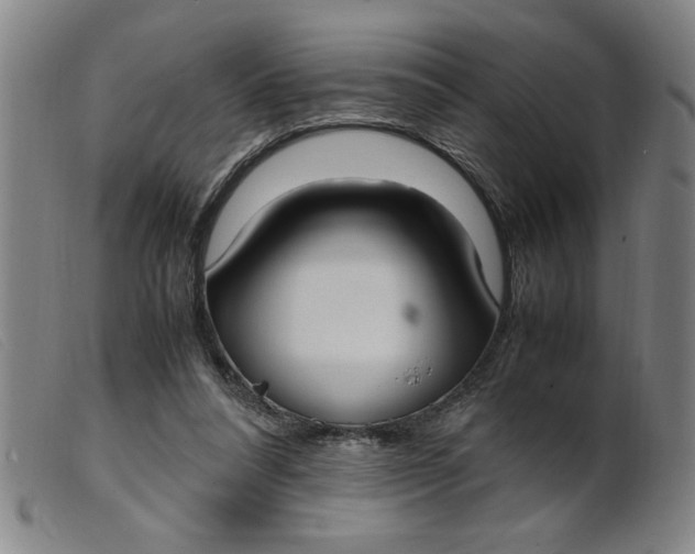 X0000099400304200805221902