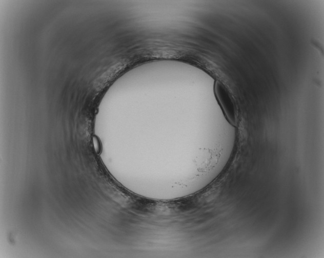 X0000099400305200805221902