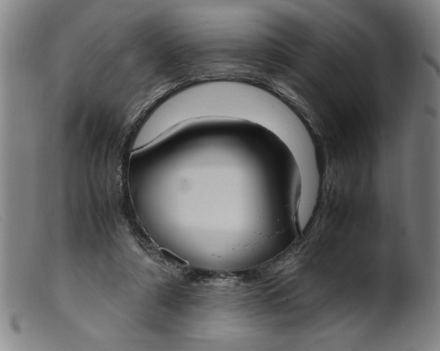 X0000099400306200805221902