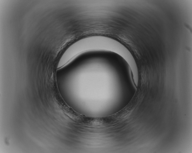 X0000099400308200805221902