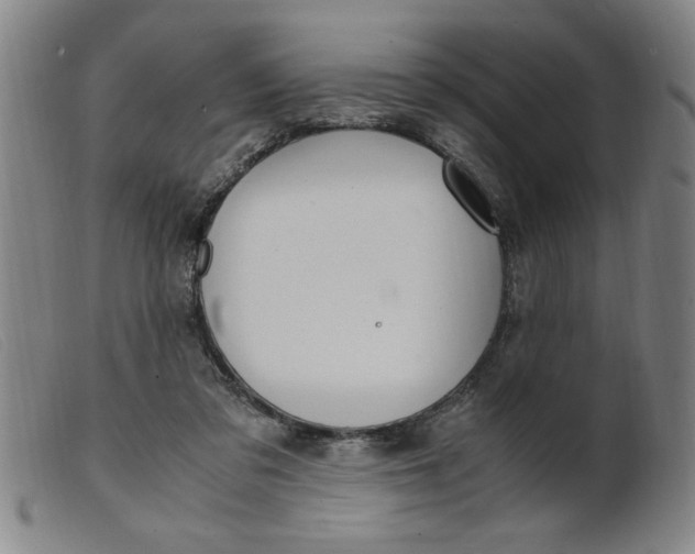 X0000099400309200805221902